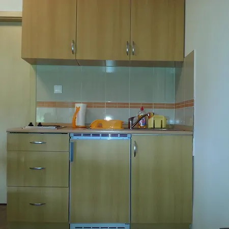 Lägenhet Studio Kamelija *