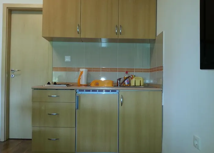 Apartment Kamelija *